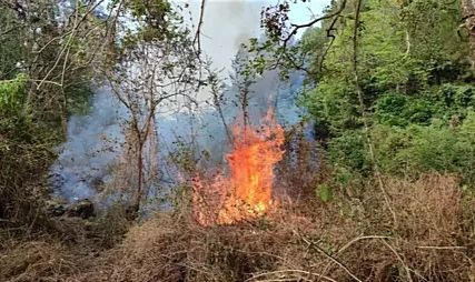 Api Kembali Menyala di Hutan Gunung Ciremai, Diduga Akibat Bara Belum Seluruhnya Padam
