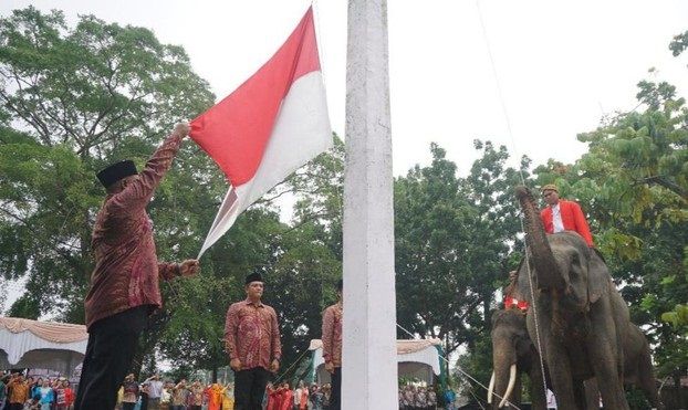 3 Gajah Sumatera Sukses Kibarkan Bendera Merah Putih di Pekanbaru