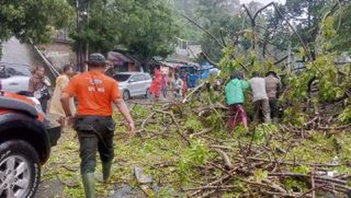 Cuaca Buruk di Padang, 5 Kendaraan Rusak Ditimpa Pohon