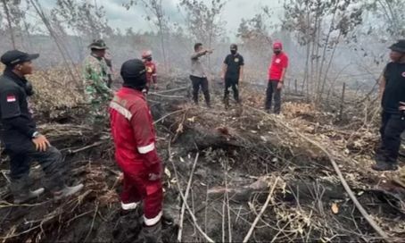 Ratusan Titik Kebakaran Hutan dan Lahan Terdeteksi di Sumatera, Ini Rinciannya