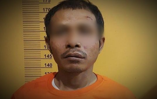 Terungkap, Pria Tewas di Atas Pohon Ketapang di Pekanbaru Ternyata Dibunuh Abang Kandung