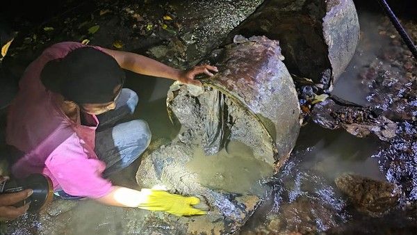 Geger, Kerangka Manusia Ditemukan Dalam Drum Tercor di Sungai Aceh Besar