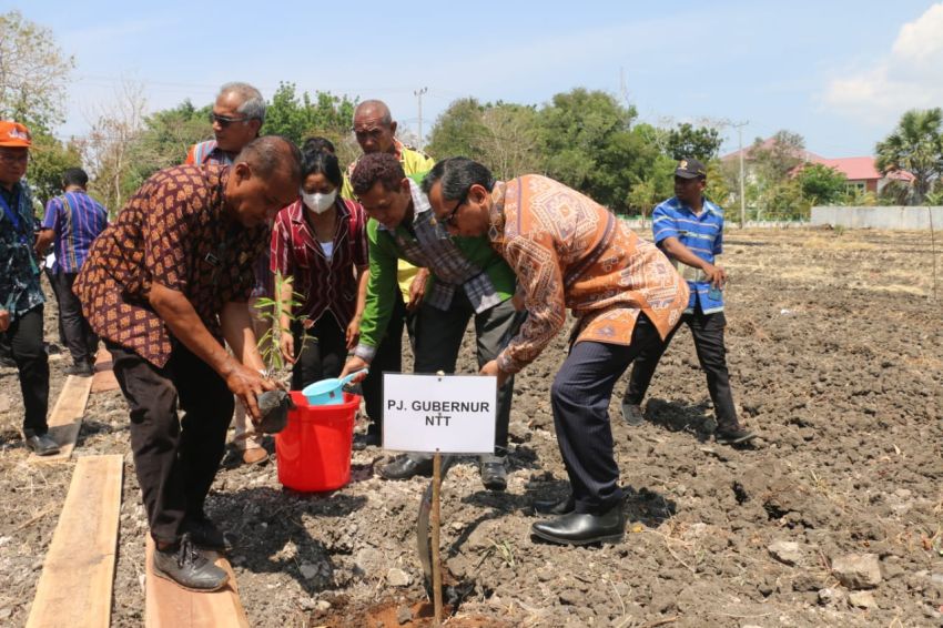 Pj Gubernur Dampingi Menhub Tanam Anakan Cendana Serta Meninjau Bandara El Tari Kupang