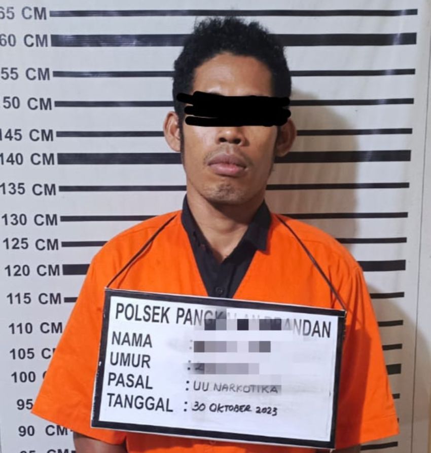 Asik Main Game Online, Pengedar Sabu di Langkat Diringkus Polisi