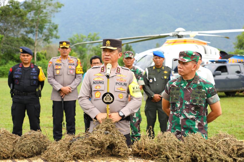 Penemuan 150 Ha Ladang Ganja di Madina, Polda Sumut Gunakan Citra Satelit