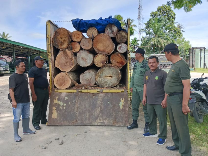 P-21, PPNS Dinas LHK Sumut Tahap II Perkara Illegal Logging ke Kejari Tapsel