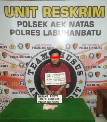 Pria di Labuhanbatu Diringkus Polisi Gegara Kedapatan Mencuri