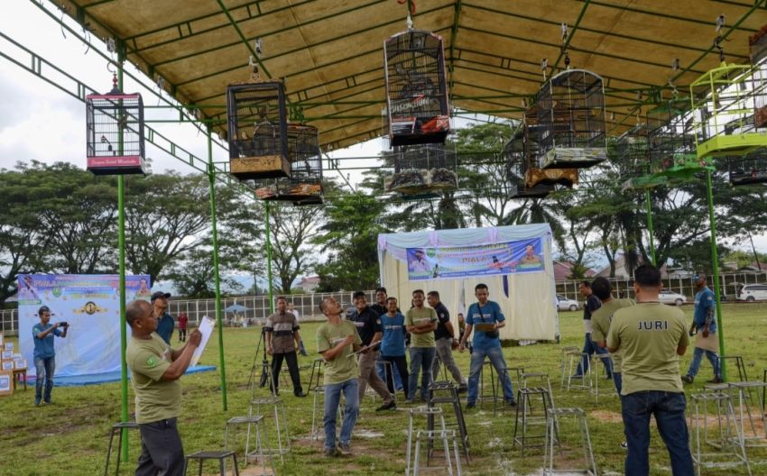 Dispopar Kota Padangsidimpuan Gelar Festival Burung Berkicau