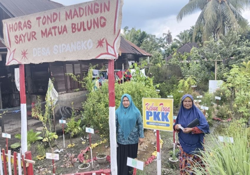 Taman TOGA Binaan TPPKK Desa Sipangko Jadi Sumber Kesehatan Warga