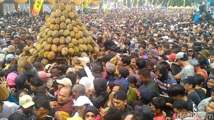 Ricuh Saat Festival Durian di Pekalongan, Warga Terluka hingga Pingsan