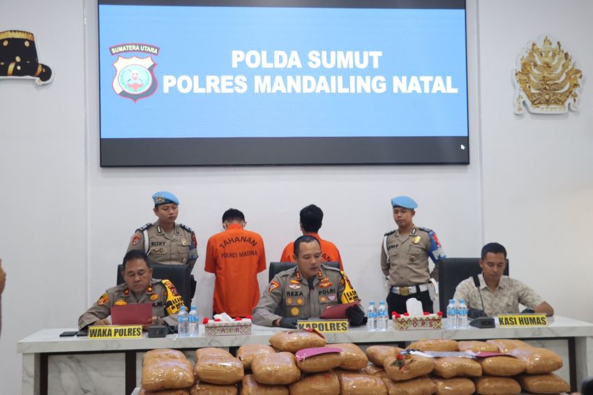 Bawa 116,2 Kg Ganja, Dua Pemuda Asal Padang Diringkus Polisi di Madina