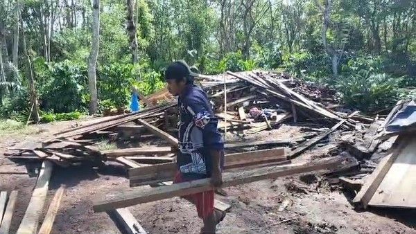 Kawanan Gajah Liar Mengamuk, Rusak Fasilitas Tempat Wisata di Lampung