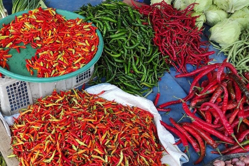 Harga Cabai Merah di Sumut "Pedas" Tembus Rp 110 Ribu Per Kg