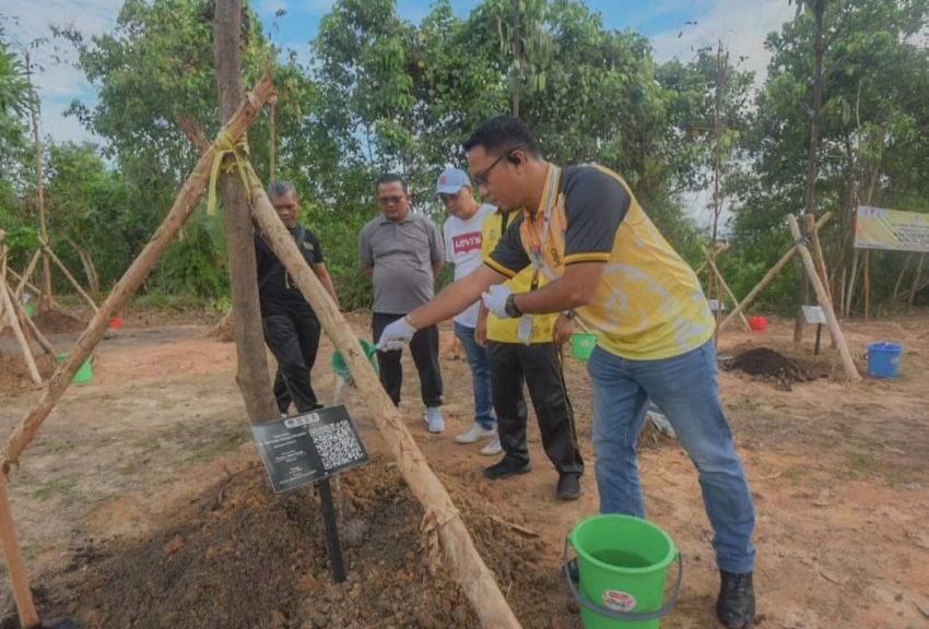 Plt Sekdako Padangsidimpuan Ikut Menanam Pohon dalam Mewujudkan Kota Hijau dan Berkelanjutan