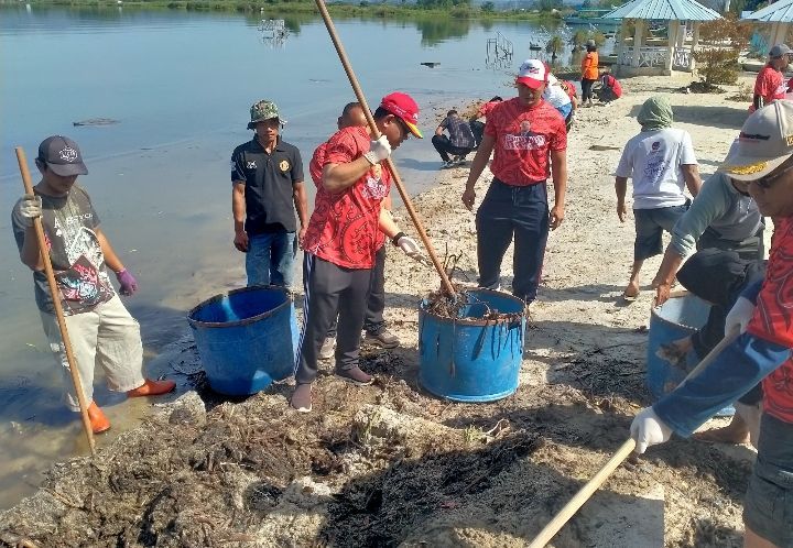 Bupati Toba Bersama Mahasiswa STIKES Arjuna Gotong Royong Bersihkan Sampah di Pantai Pasir Putih Parparean