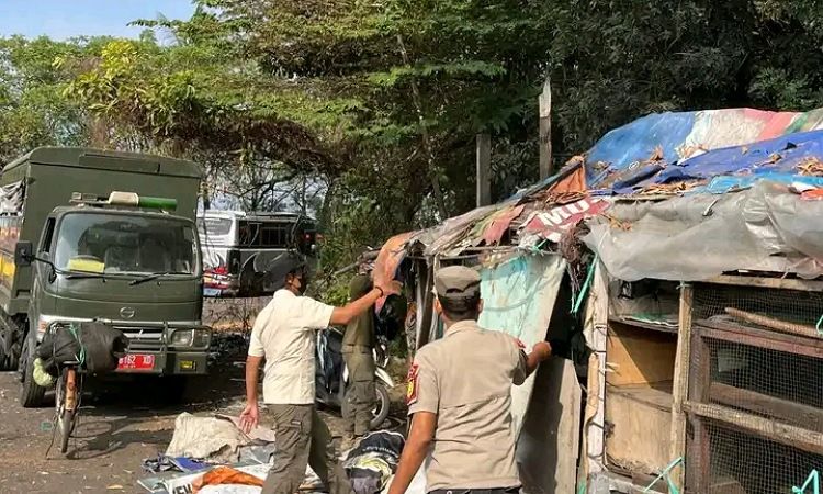 Terlihat Jorok dan Kumuh , Deretan Bangunan Liar Di Sekitar Terminal Bus Pemalang Dibongkar 