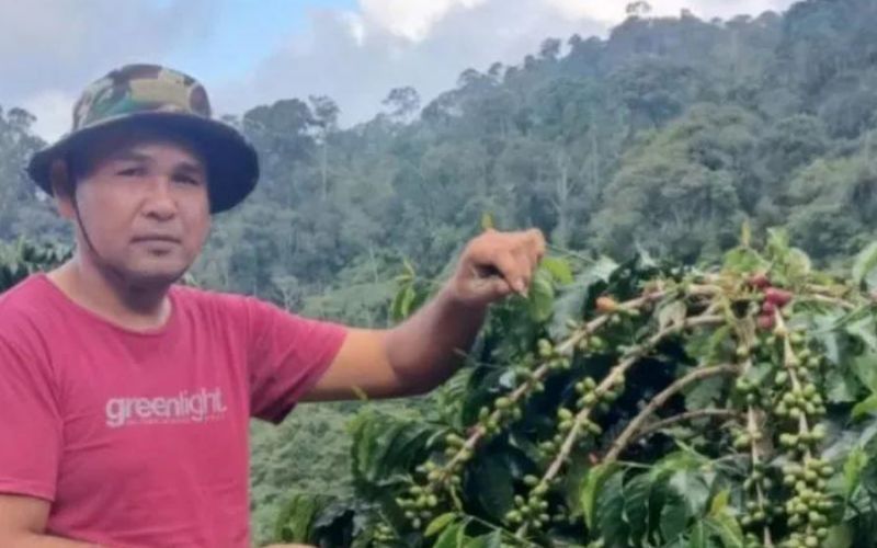 Kopi Mandailing Makin Mendunia, Berkat Sentuhan Wakil Bupati Madina