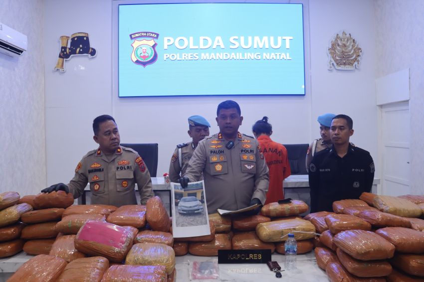 Dua Kurir Asal Kota Padang Jemput Ganja ke Madina 154 Kg, Sandinya Lewat LP !