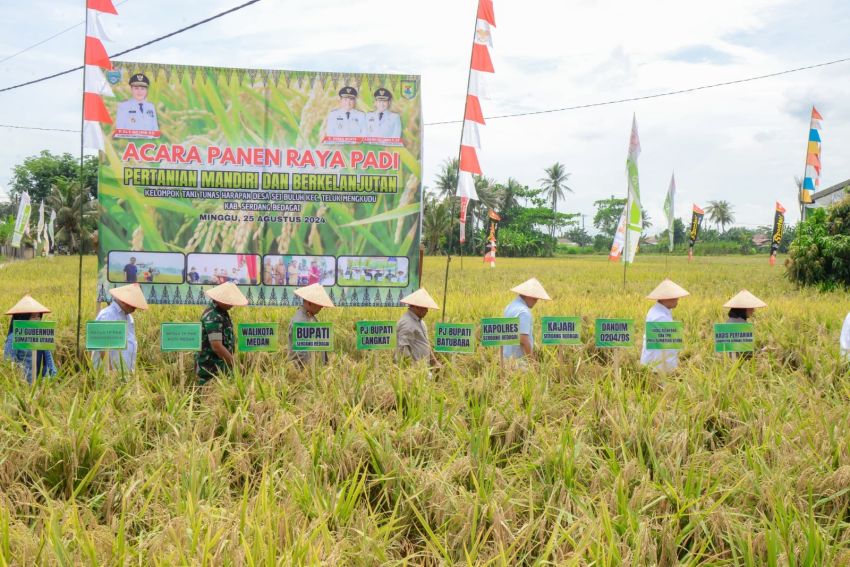 Tembus Gabah 7-8 Ton per Hektar di Sergai, Bupati Ajak Sinergi Antar Daerah Capai Ketahanan Pangan Sumut