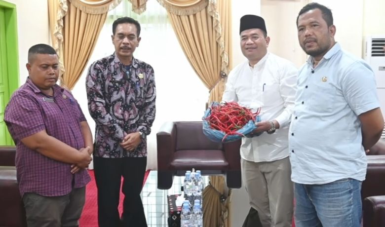 Penguatan Sektor Hortikultura: Pj Wali Kota Padangsidimpuan Ucapkan Terimakasih Kepada Gubsu