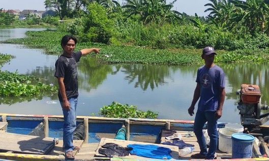 6 Buaya Muncul Bersamaan di Sungai Kedungpeluk, Ini Pengakuan Warga