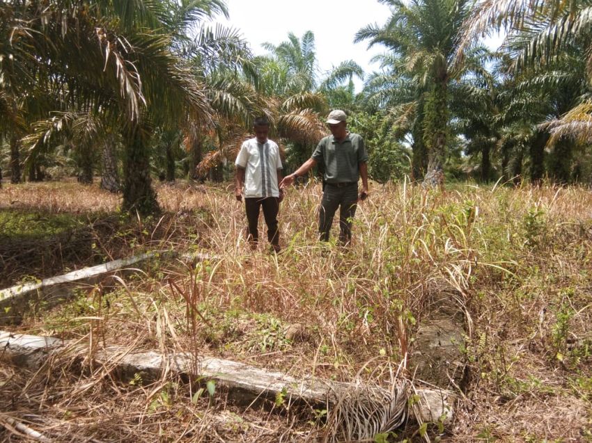 Camat Batahan Ziarahi Makam Raja Perempuan 