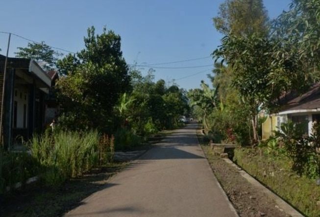 Misteri Jejak Peradaban Kuno Pemalang di Bukit Arca Desa Cikendung Pulosari