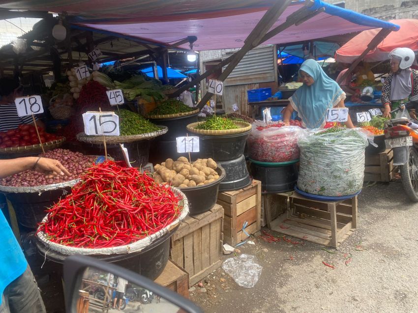 Harga Cabai Merah Terpuruk, Daya Beli Petani Hortikultura Tertekan