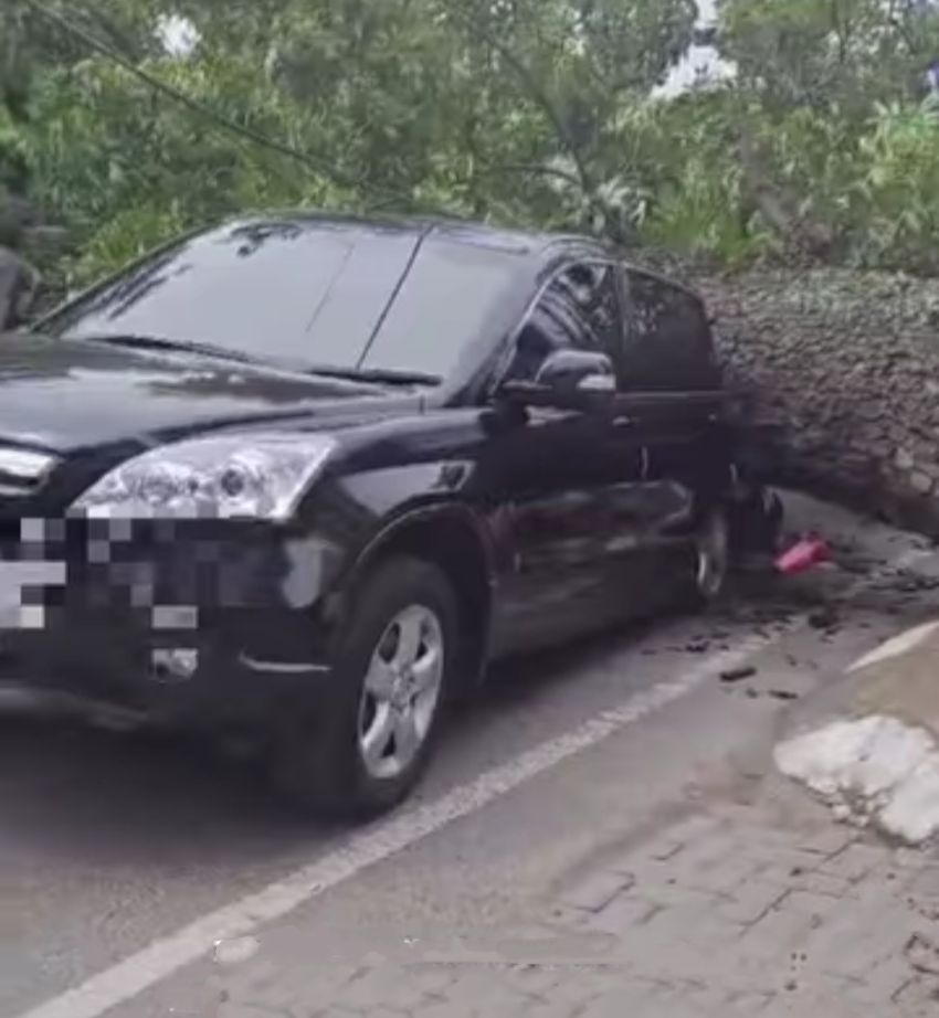 Pohon Tumbang, Mobil dan Sepeda Motor Ringsek Ditempat