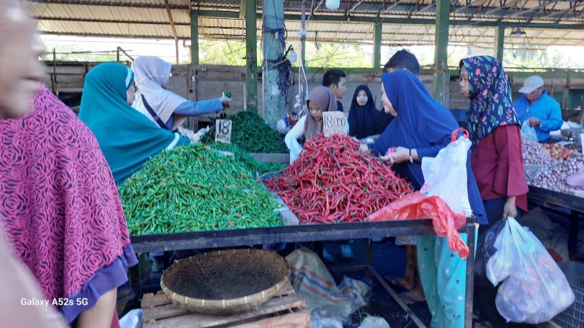 Pupus Sudah Harapan Petani Cabai Merah, Harga Terpuruk Dihantam Cabai Dari Jawa