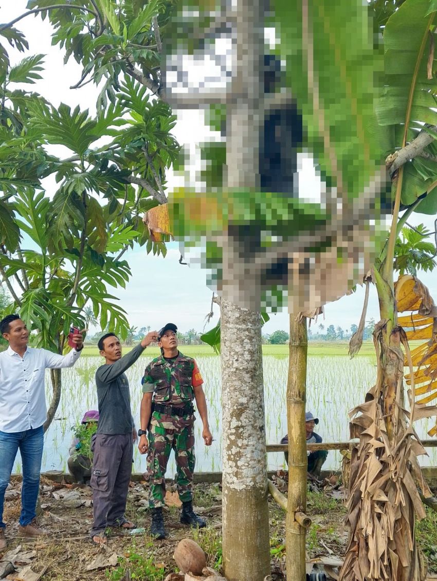 Warga Pematang Ganjang Ditemukan Tewas Gantung Diri di Pohon Sukun 