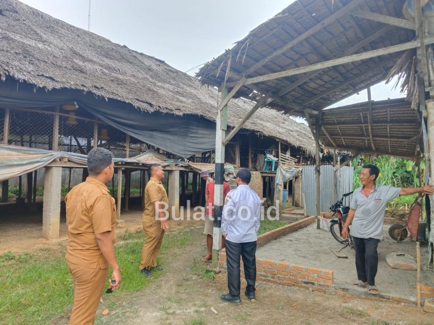 Warga Keluhkan Merebak Lalat, Dinas LH Sergai Sebut Temukan Banyak 'Pelanggaran' di Ternak Ayam Desa Melati II