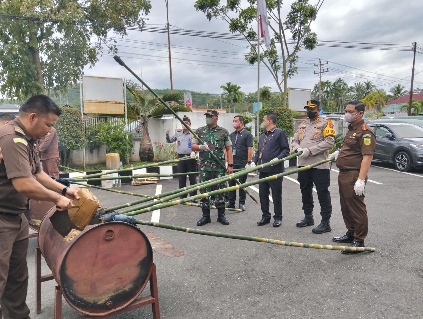 75,4 Kg Ganja dan 249,67 gram Sabu Dimusnahkan Kejari Madina