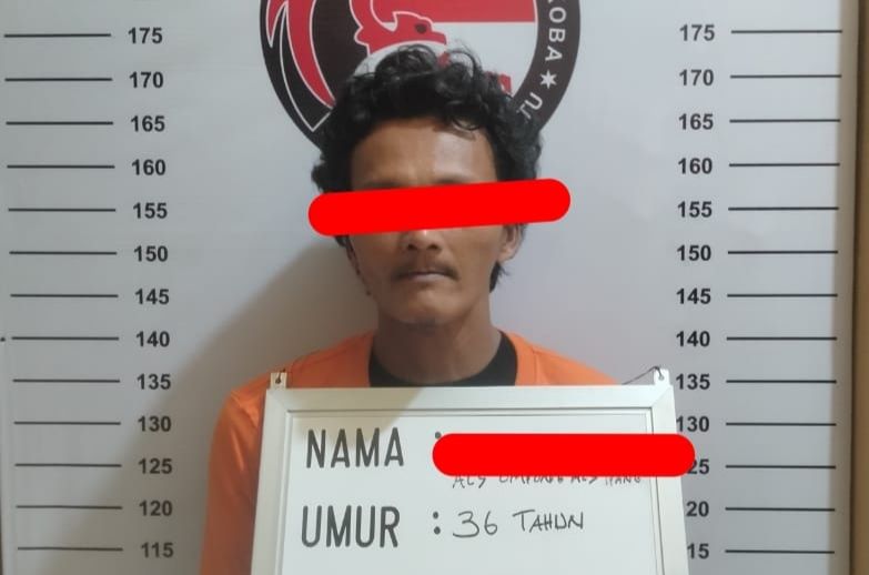 Seorang Pengedar Sabu Diringkus Satres Narkoba Polres Labuhanbatu, Belasan Bungkus Diamankan