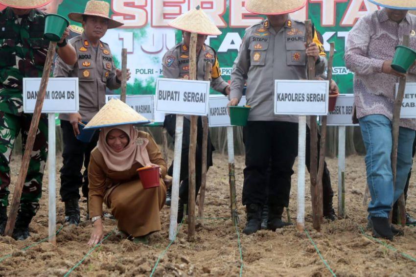 Pemkab Sergai Beri Dukungan Penuh Program Penanaman Jagung 1 Juta Hektar bersama Polri dan Mentan RI