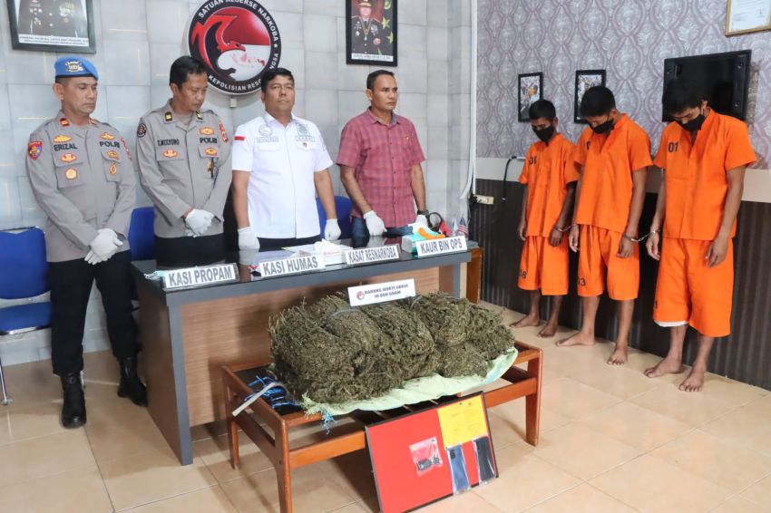 Polres Langsa Tangkap 3 Tersangka dan Amankan 10 Kilogram Ganja