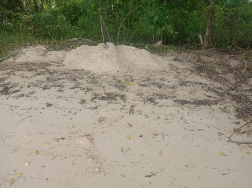 Penambang Pasir Laut Ilegal untuk Reklamasi Pantai Hotel Mawatu Dilepas Lanal Labuan Bajo